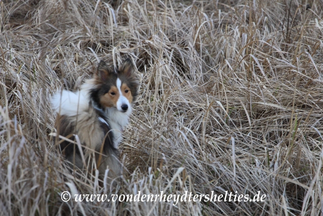 16.02.2014 Siehst du mich immer noch