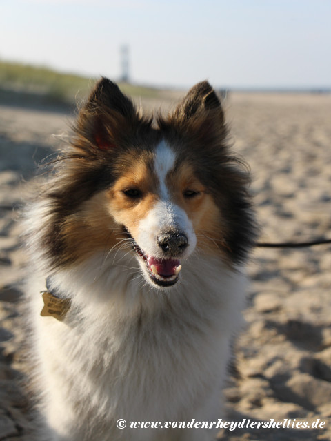 14.10.2016--------Aivi