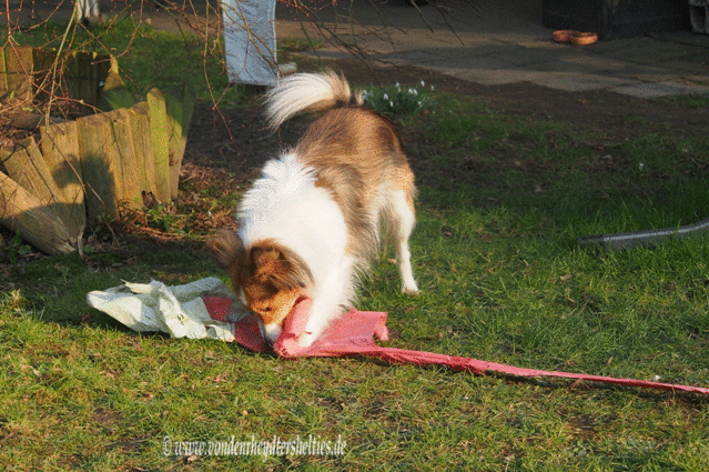 output_3UcWYM output_3UcWYM