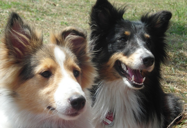 09.08.2013 Zwei die etwas erwarten