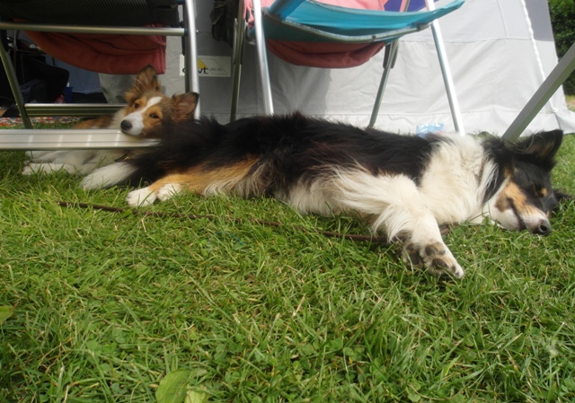 21.08.2013 Campingurlaub in Brekens