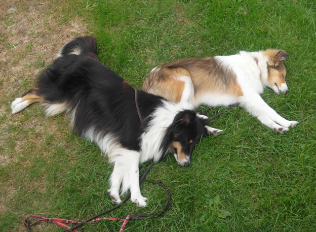 28.08.2013 Campingurlaub in Breskens 2013