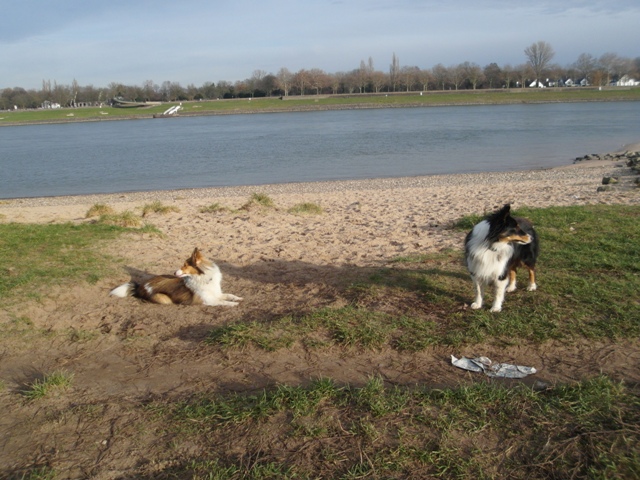 19.01.2014    Rhein in Duesseldorf 14