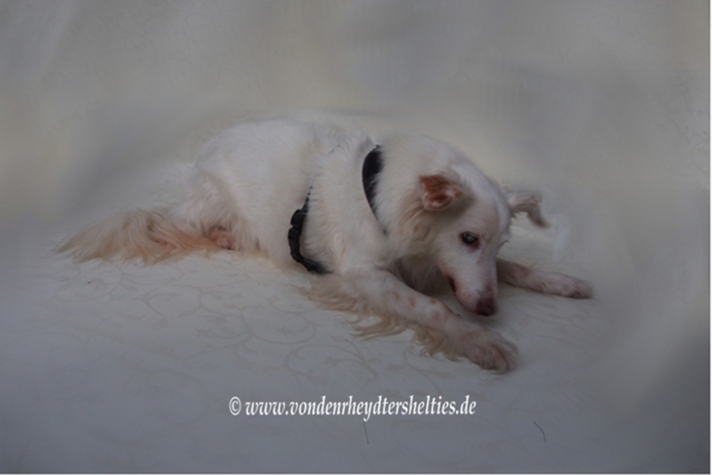 Schlechtwetterbild 1