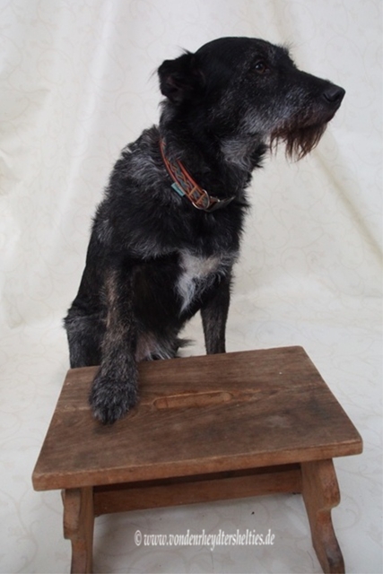 Schlechtwetterbild 2