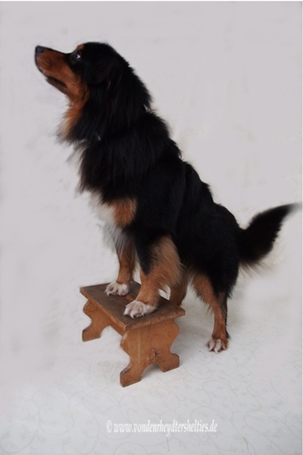 Schlechtwetterbild 3