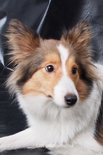 Schlechtwetterbild 4