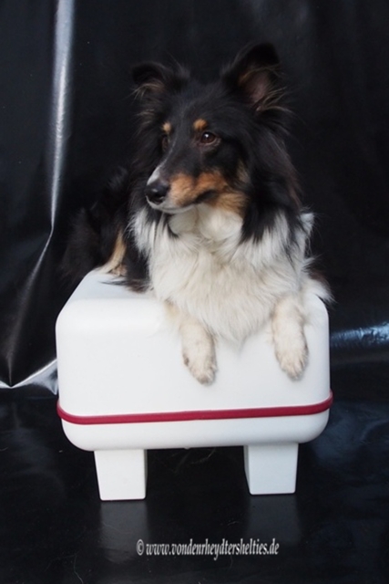 Schlechtwetterbild 5