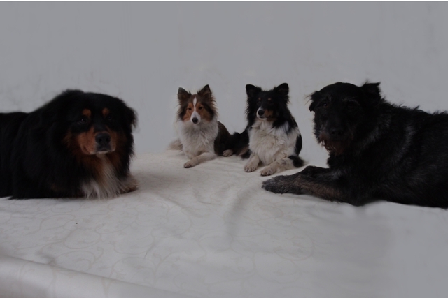 Schlechtwetterbild 6