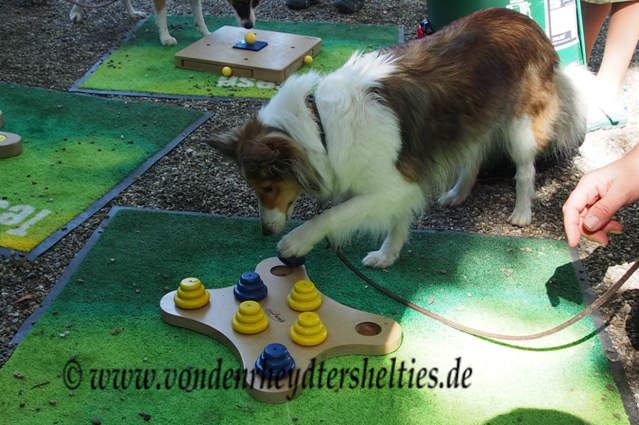 mit der linken Pfote klappt es ja  Nr. 3