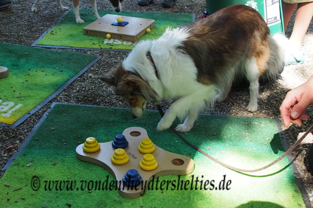 mit der linken Pfote klappt es ja  Nr. 4