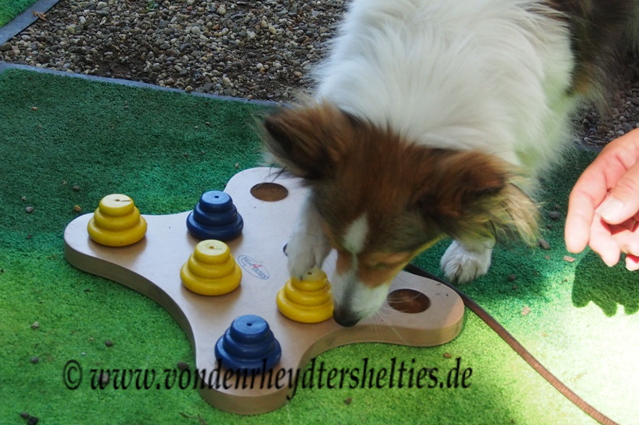 mit rechts geht es auch 1