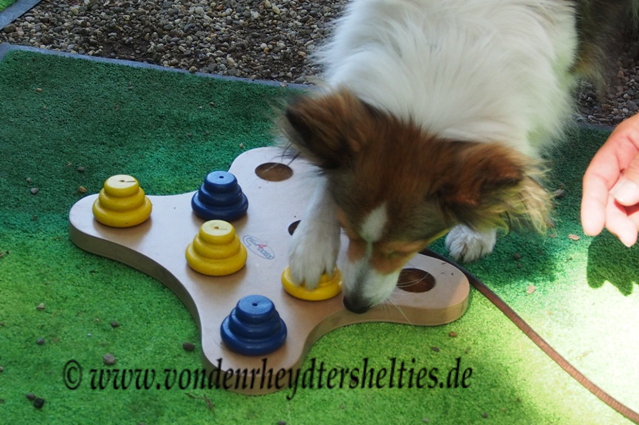 mit rechts geht es auch 2