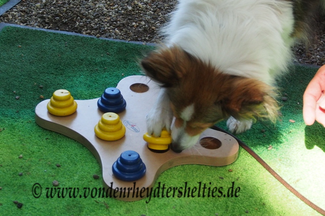 mit rechts geht es auch 3