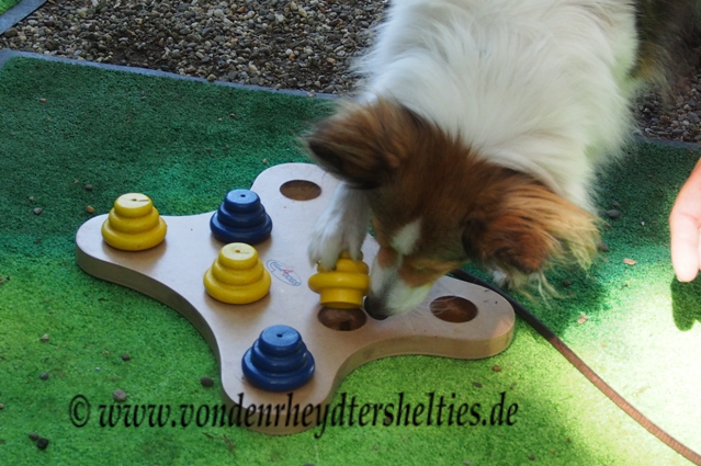 mit rechts geht es auch 4