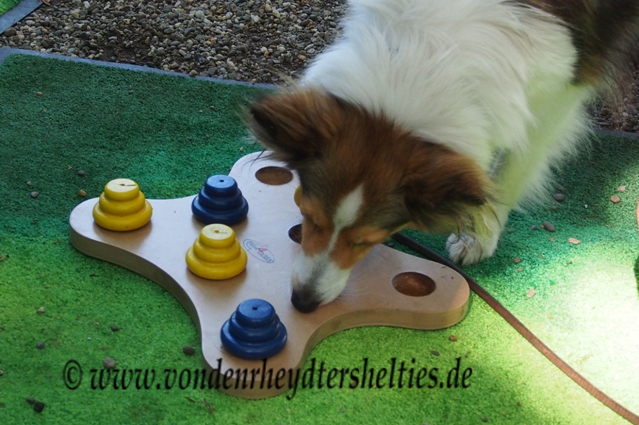 mit rechts geht es auch 5