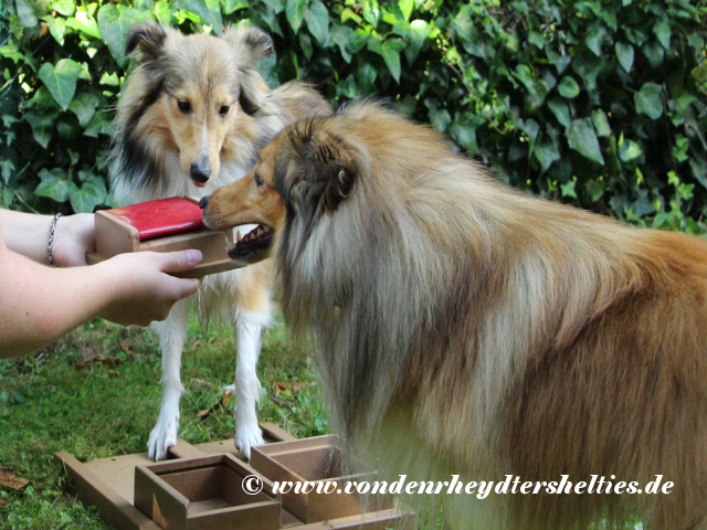 IMG_8085-Blizz-und-Django