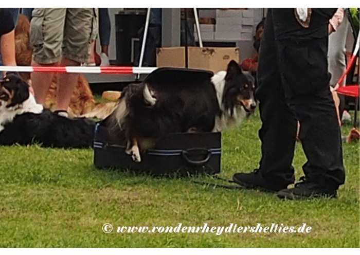 output_aYoTTJ output_aYoTTJ