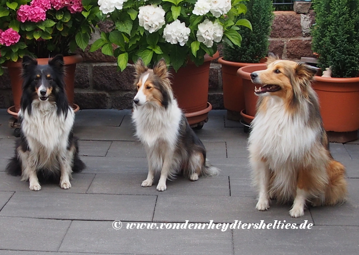 von-re-nach-li-Charly-Aivi-Gulie