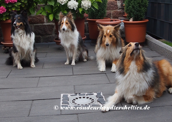 von-re-nach-li-Sammy-Charly-Aivi-Gulie