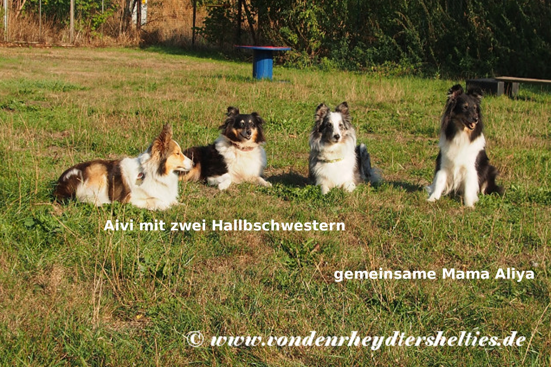 P9011126-li-3-Halbschwestern-re-gemeinsame-Mutter-1