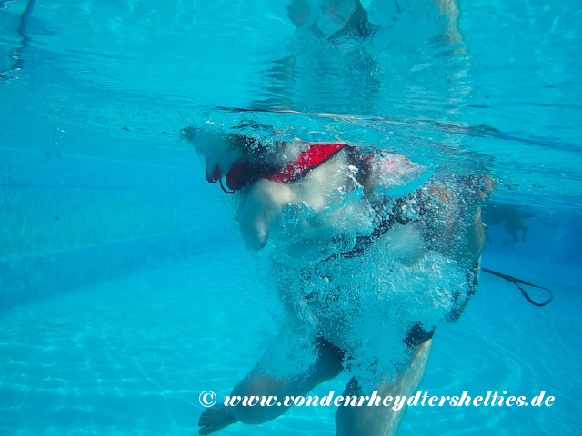 2018_0909_121904_001