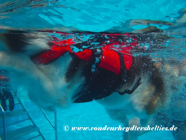 2018_0909_121906_002