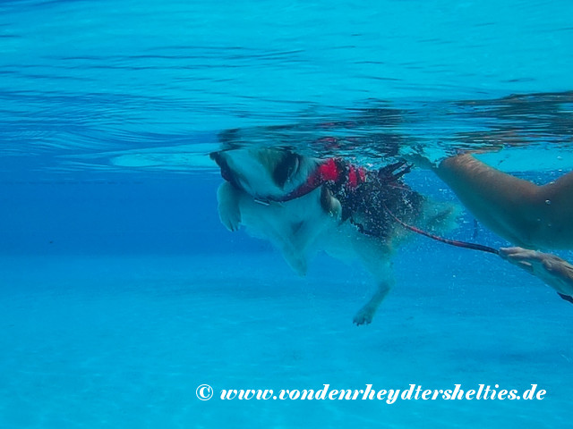 2018_0909_122054_005