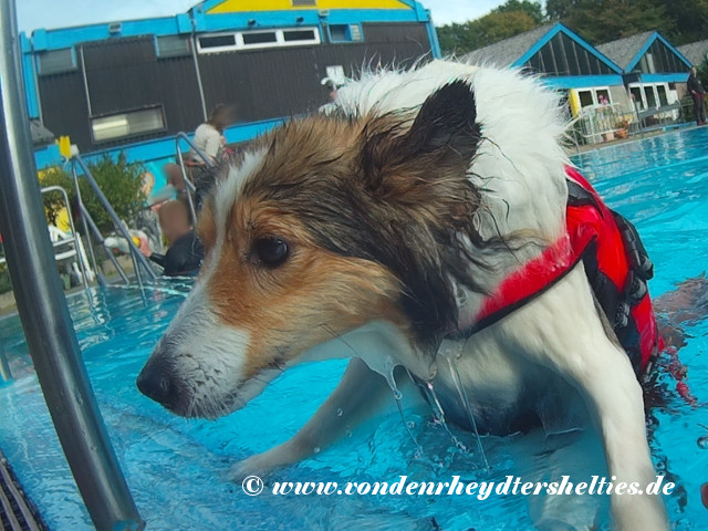 2018_0909_122059_006