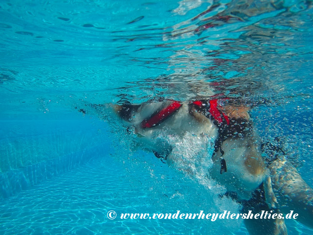 2018_0909_122502_008