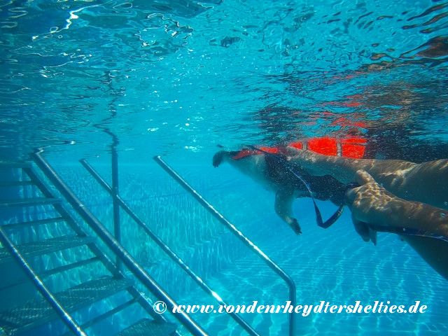 2018_0909_123106_016