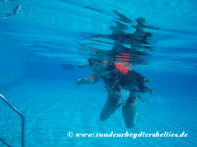 2018_0909_123445_021