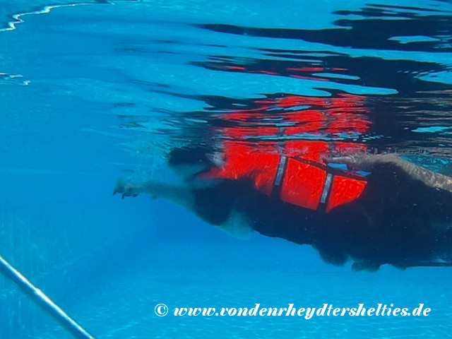 2018_0909_123446_022