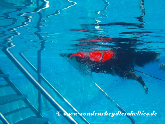 2018_0909_123448_023