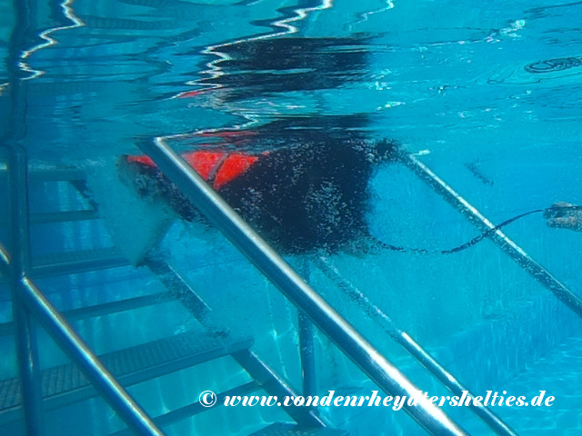 2018_0909_123449_024