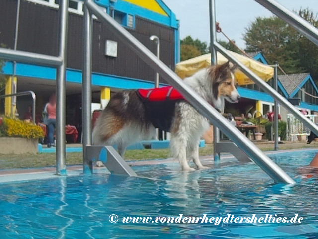 2018_0909_123915_026