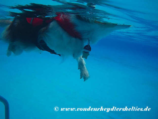 2018_0909_124031_029