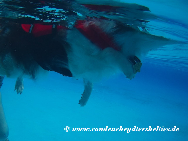 2018_0909_124033_030