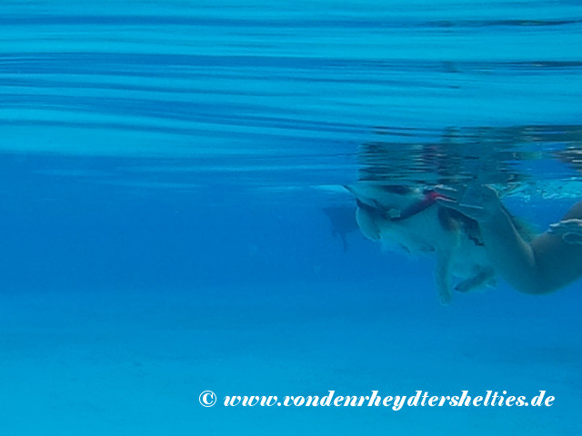 2018_0909_124113_033