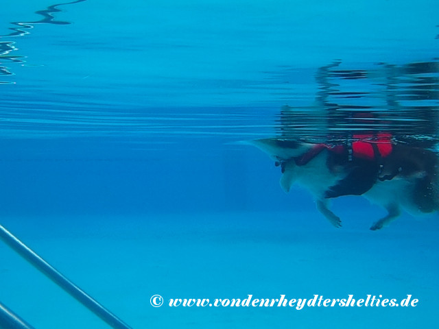 2018_0909_124115_034