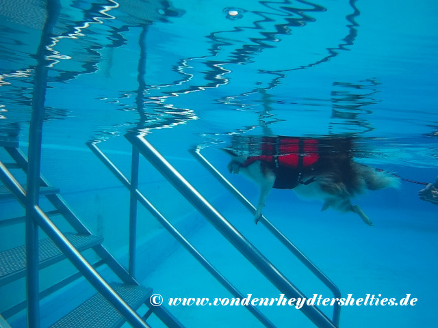 2018_0909_124116_035