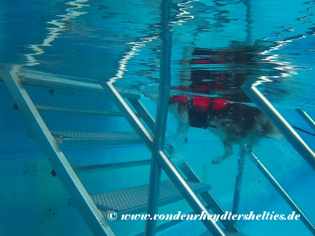 2018_0909_124118_036