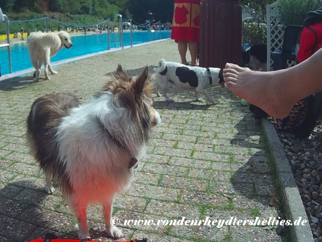 2018_0909_132454_001