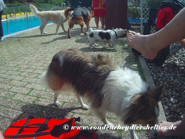 2018_0909_132456_002