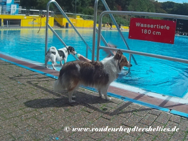 2018_0909_132641_004