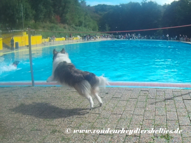 2018_0909_135602_001