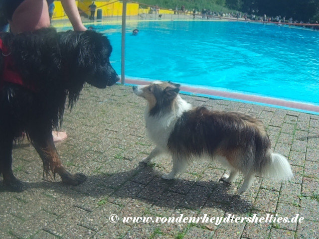 2018_0909_135607_002