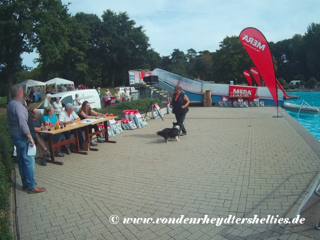 2018_0916_132136_009