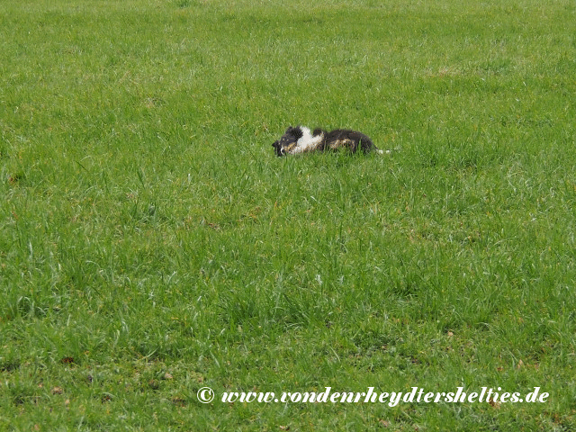 output_9C5yty output_9C5yty