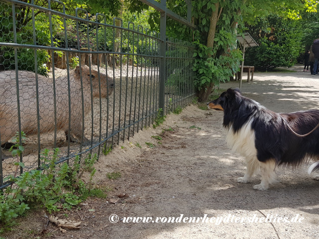 20190512_120935 20190512_120935